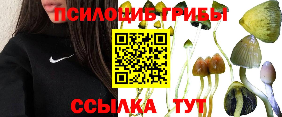 Асбест  Галлюциногенные грибы прущие грибы  Вход с VPN 