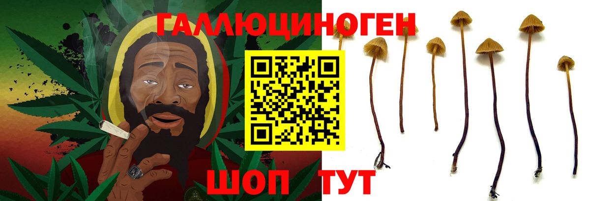 Псилоцибиновые грибы MAGIC MUSHROOMS Асбест